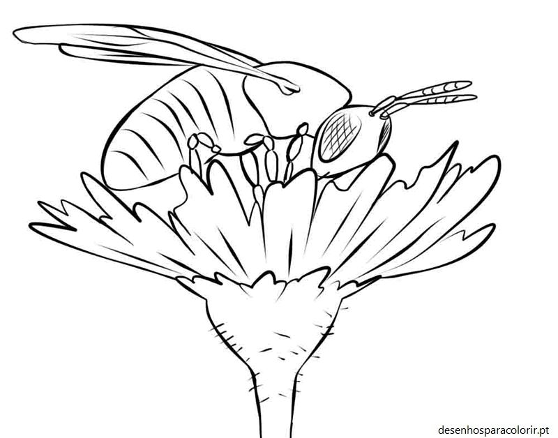 Desenhos de abelhas 35